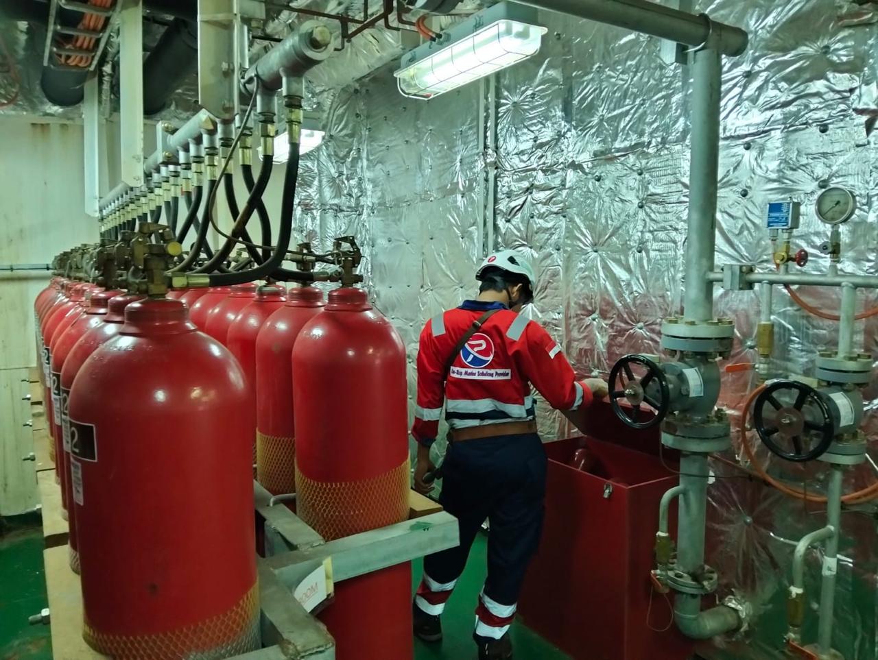 Bulk Cargo Transport